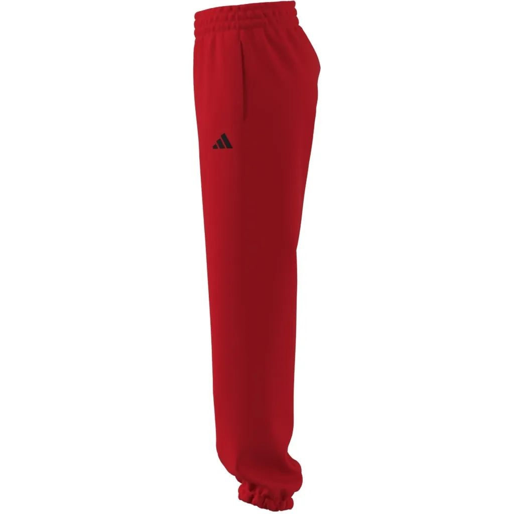 ADIDAS Future Icons Small Logo Hose 10778568